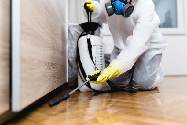 Best Bed Bug Extermination  in Del City, OK