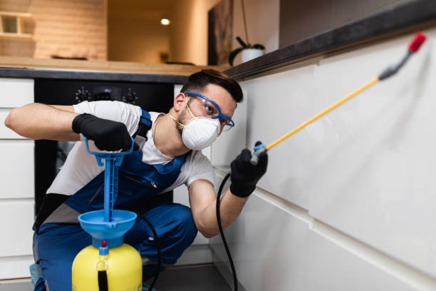 Best Pest Control Near Me  in Del City, OK