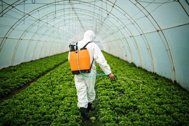 Best Local Pest Control Services  in Del City, OK