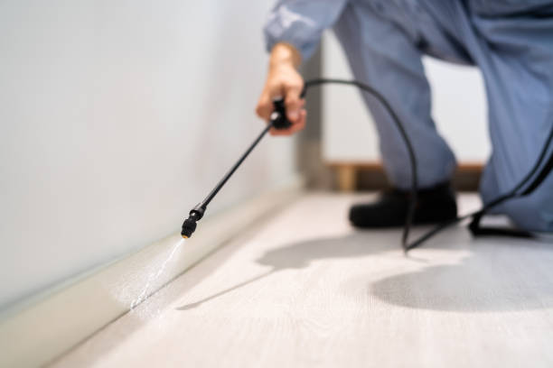 Flea Control Services in Del City, OK