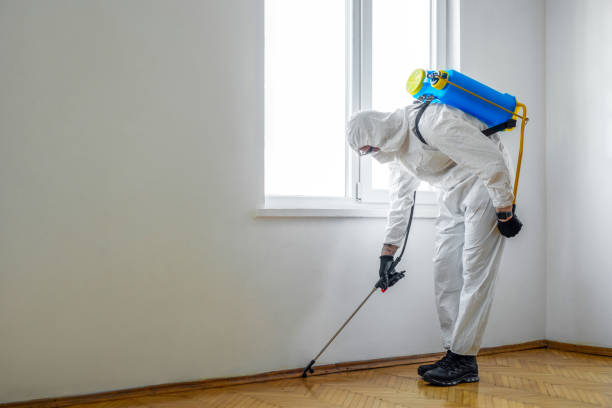 Best Affordable Pest Control Services  in Del City, OK