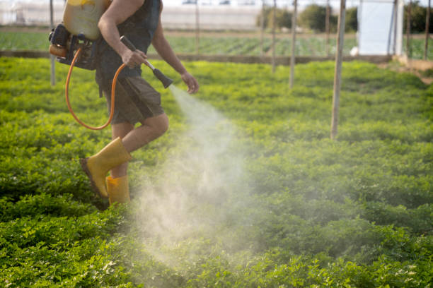 Best Residential Pest Control  in Del City, OK