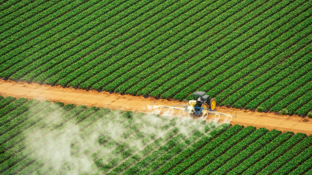 Best Termite Control Services  in Del City, OK