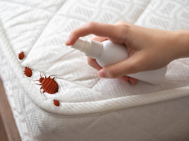 Best Mosquito Control Services  in Del City, OK