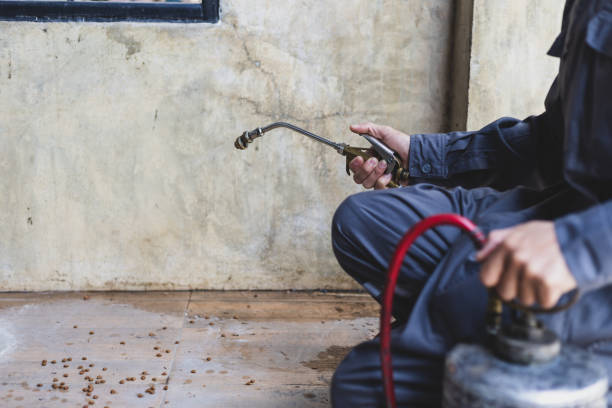 Best Commercial Pest Control Services  in Del City, OK