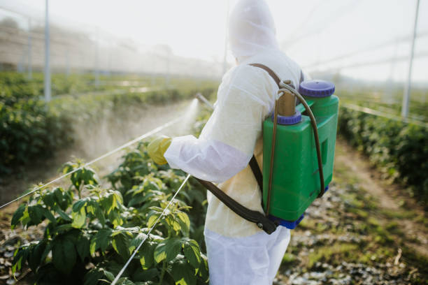 Best Local Pest Control Services  in Del City, OK